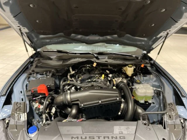 2025 Ford Mustang EcoBoost Fastback - Photo 23