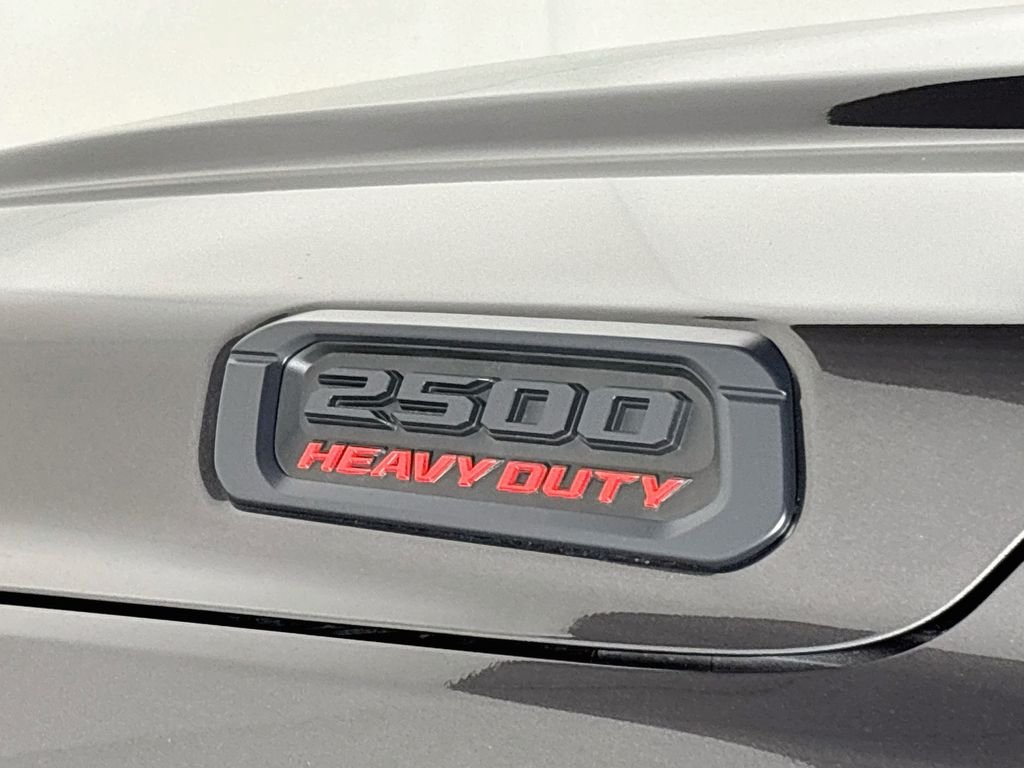 New 2026 Granite Crystal Metallic Clear-Coat Exterior Paint RAM Tradesman image 24