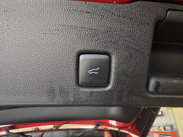Used 2023 Red FORD ACTIVE image 25