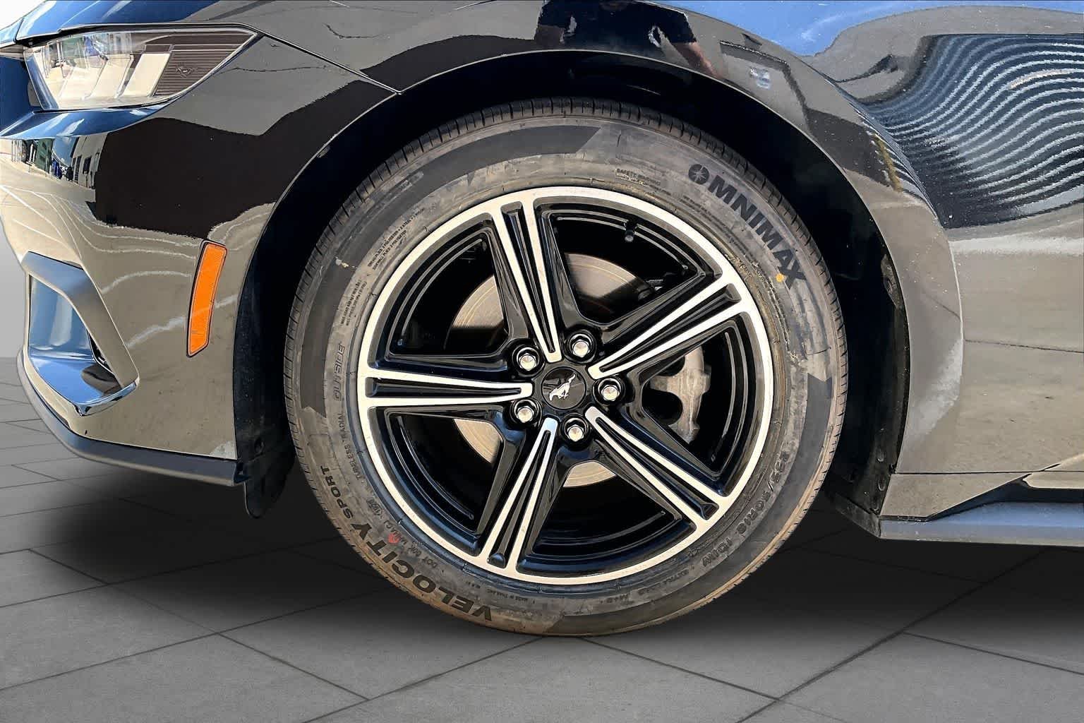 Used 2024 Shadow Black Ford EcoBoost image 10