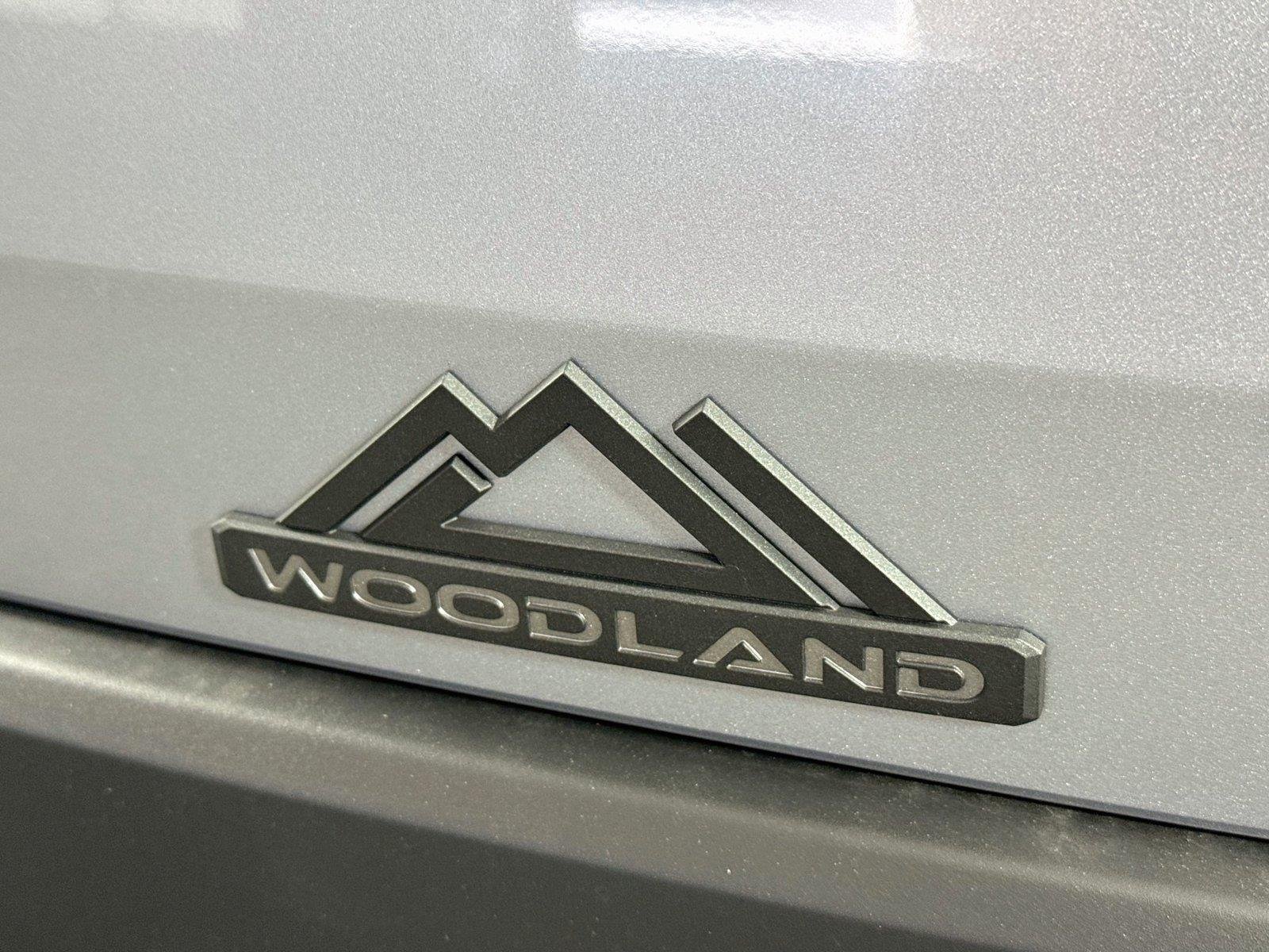 New 2026 Steel Toyota bZ Woodland Premium image 10