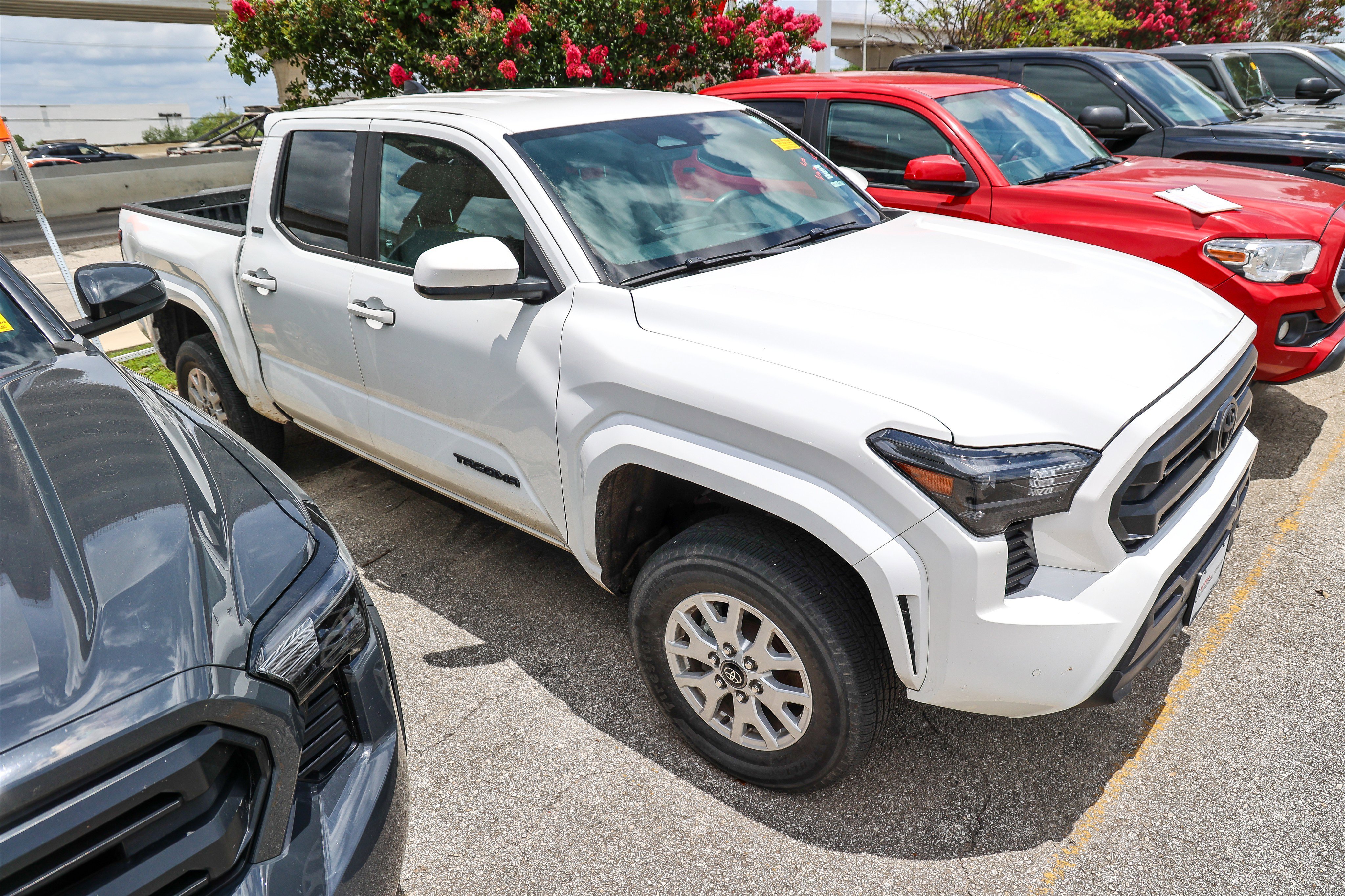 Used 2024 ICE CAP Toyota Limited image 6