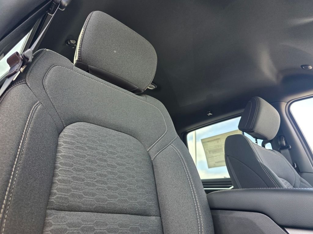 New 2026 Diamond Black Crystal Pearl-Coat Exterior Paint RAM Big Horn/Lone Star image 14