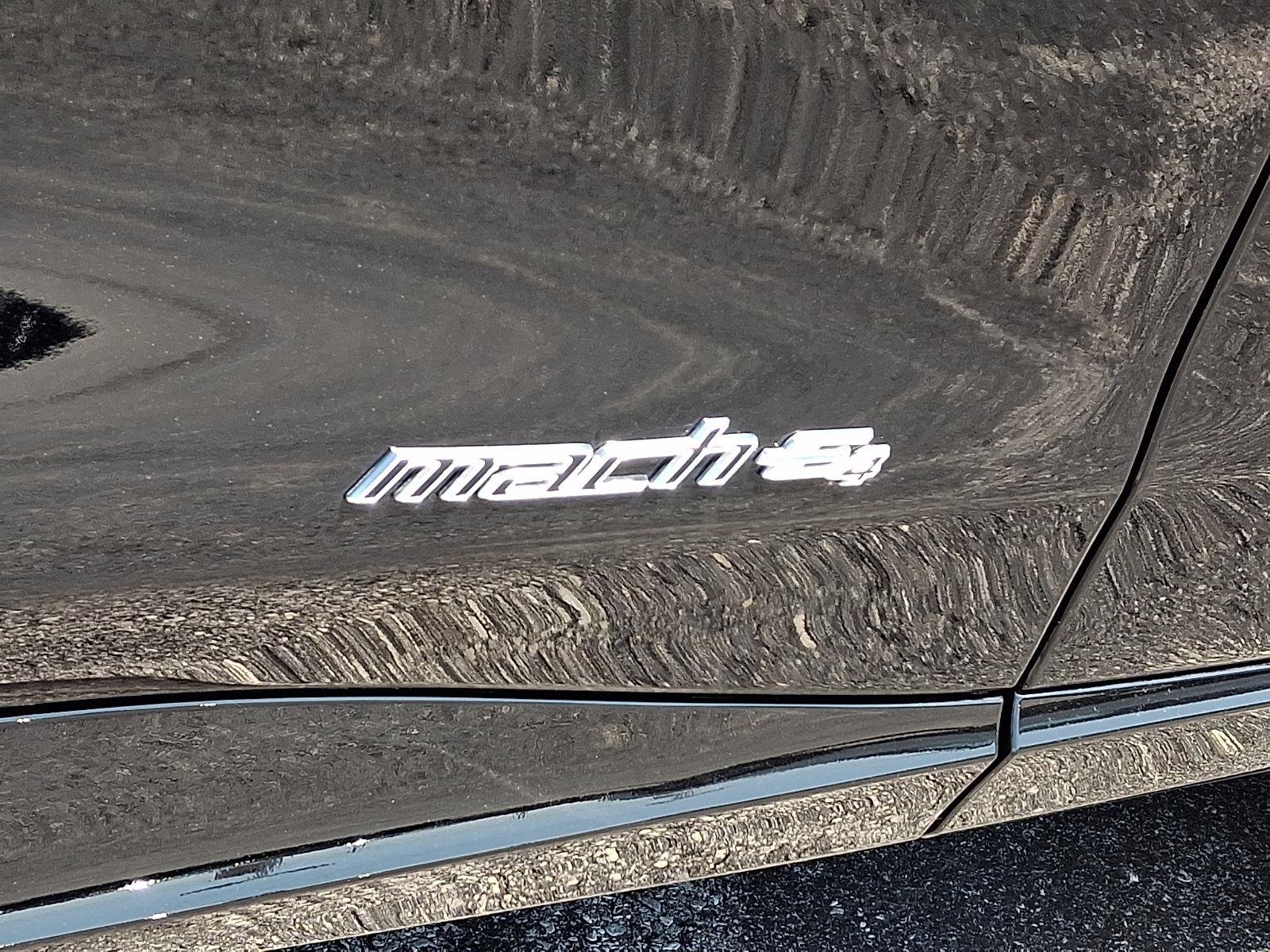 New 2026 Shadow Black Ford Premium image 20