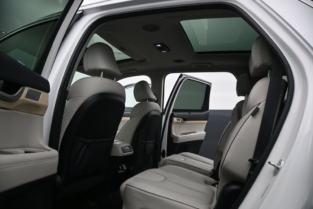 2024 Hyundai Palisade Limited - Photo 19