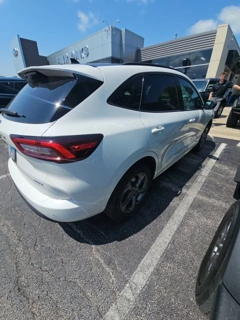 Used 2024 White Ford ST-Line image 3