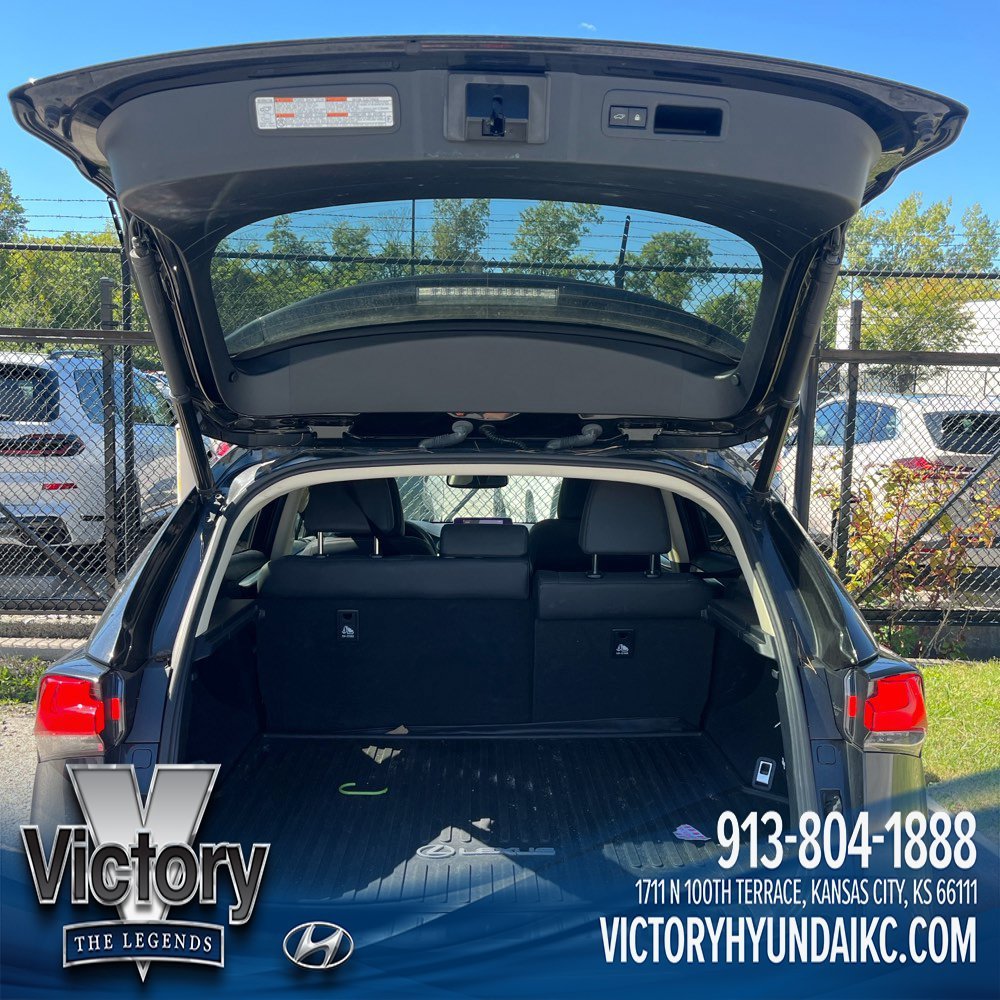 Used 2020 Black Lexus 300 Base image 10