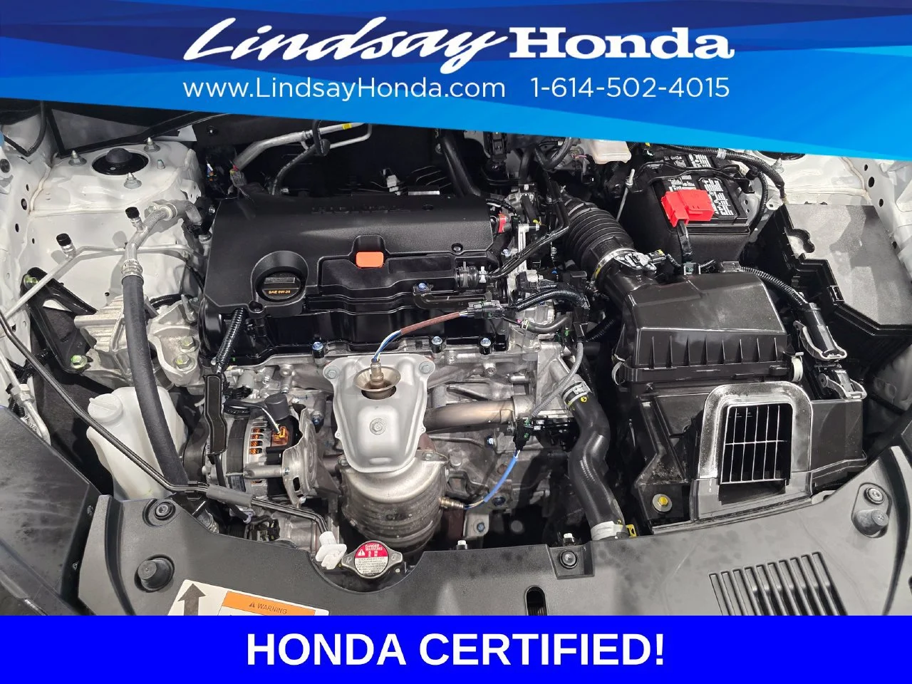 Certified Used 2025 Platinum White Pearl Honda LX image 52