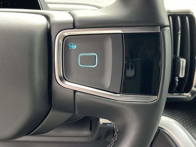 New 2026 Black Ford Platinum image 19