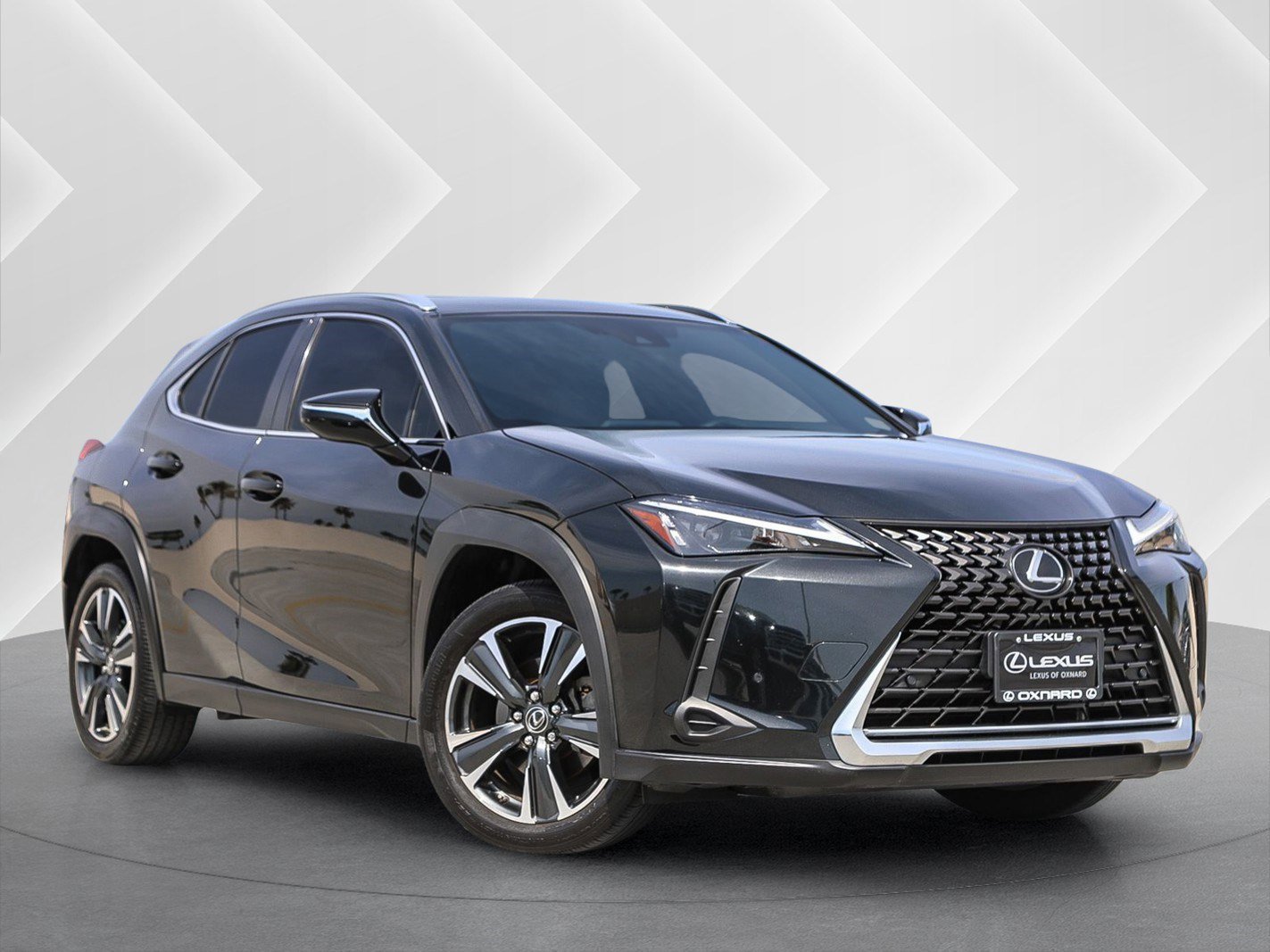 2024 Lexus UX 300h 250h's photo