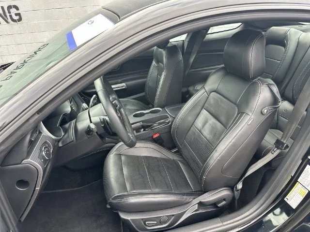 Used 2018 Black Ford EcoBoost Premium image 12