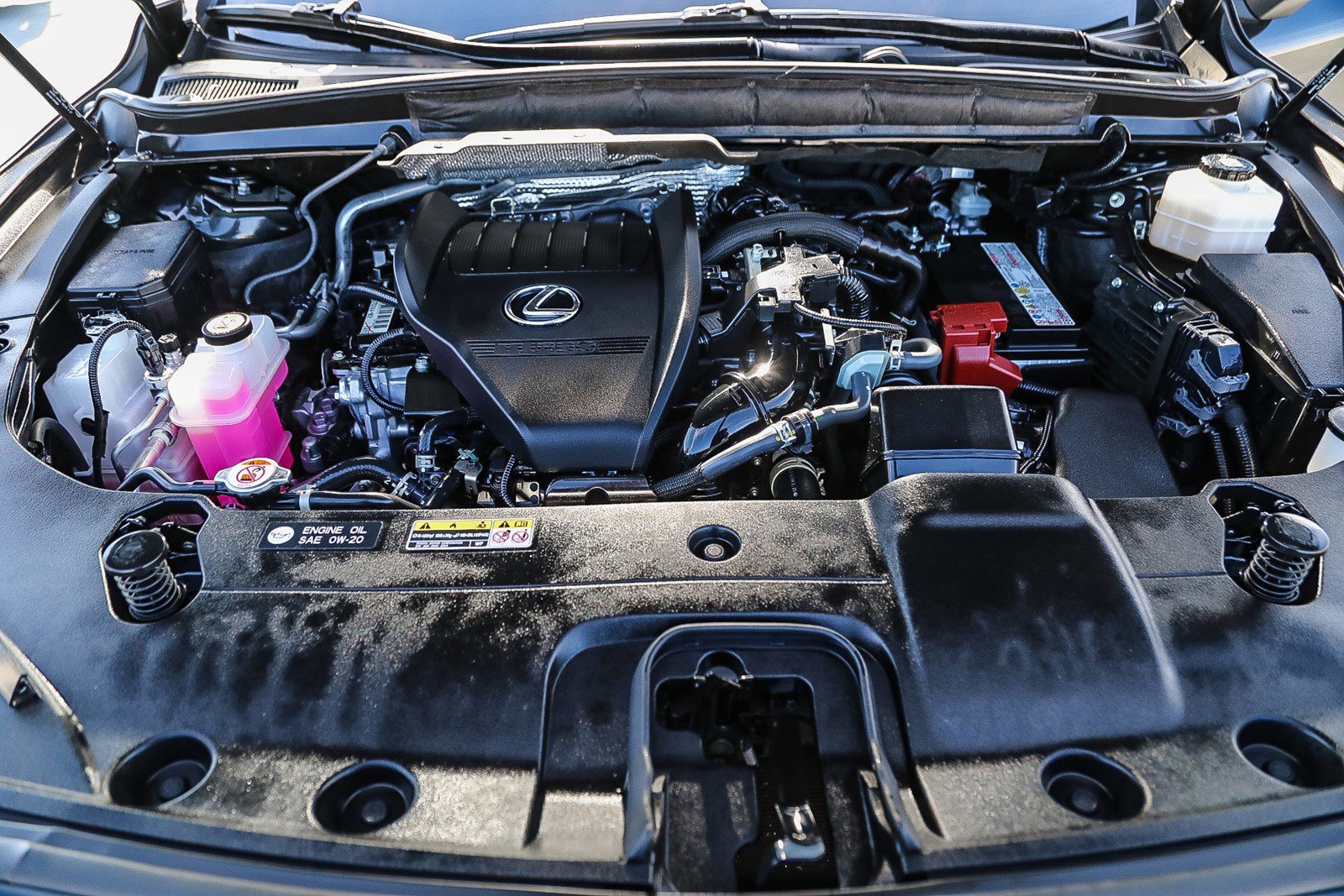 2024 Lexus RX 350 - Photo 25