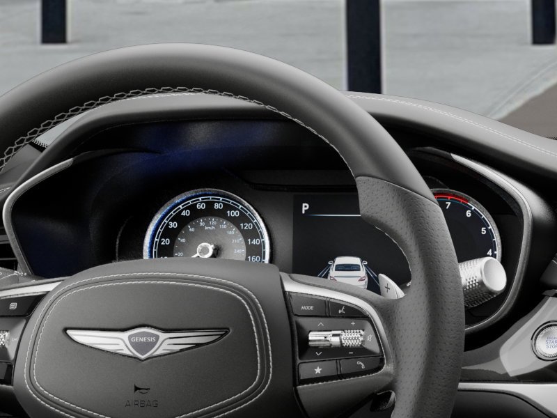 New 2026 Vik Black Genesis 3.3T SPORT PRESTIGE image 13