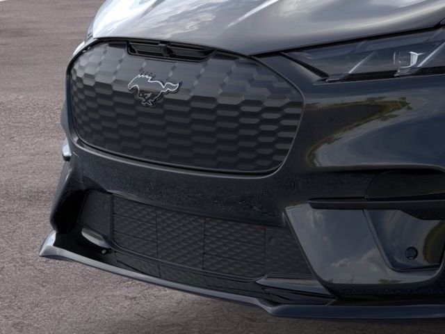 New 2026 Shadow Black Ford Premium image 17