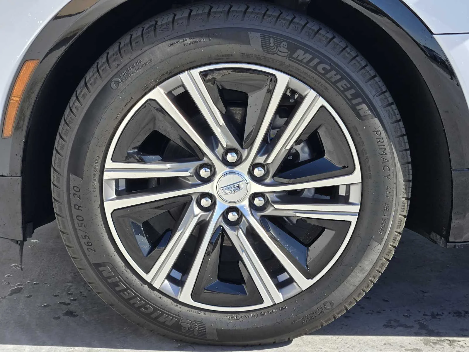New 2026 Vibrant White Tricoat Cadillac Luxury image 7
