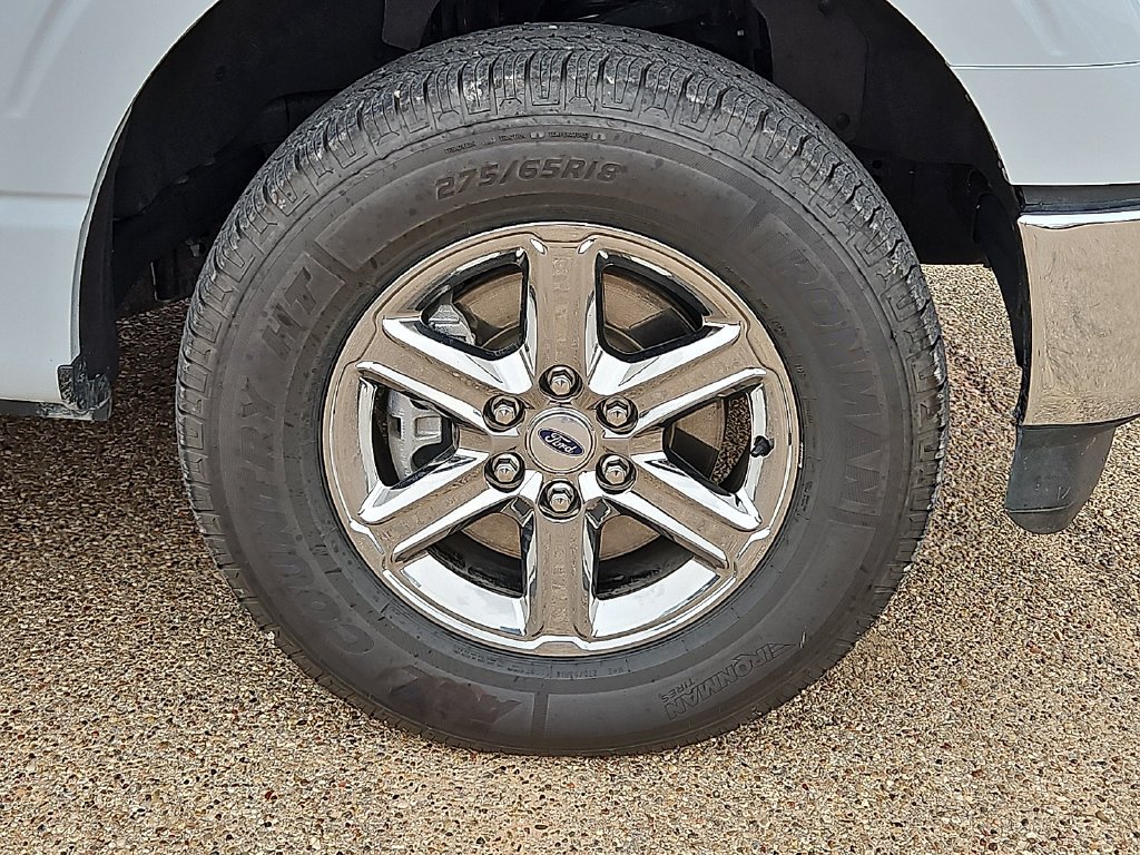 Used 2025 White Metallic Ford XLT image 13
