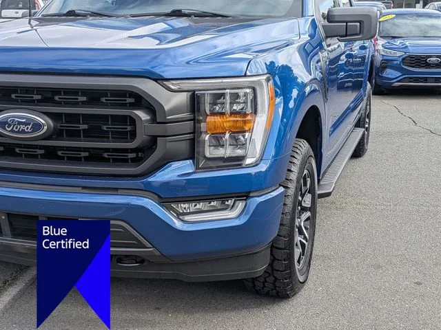 Used 2023 Blue Ford XLT image 9