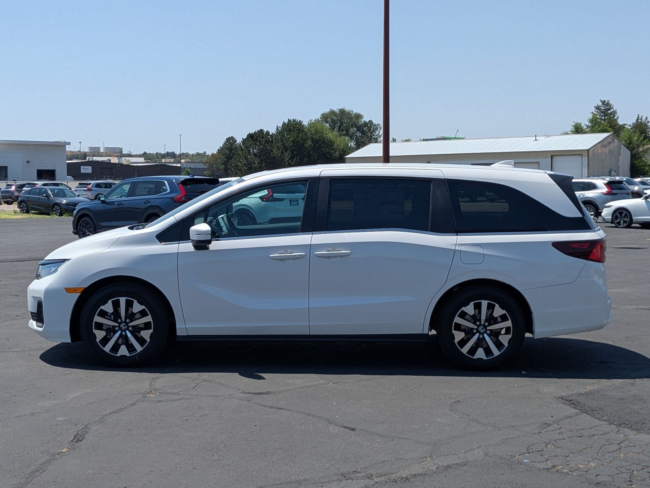 New 2026 Platinum White Pearl Honda EX-L image 7