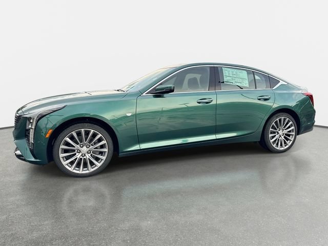 New 2026 Typhoon Metallic Cadillac Premium Luxury image 2