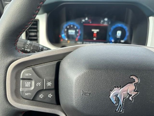 New 2026 Shadow Black Ford Heritage Edition image 24