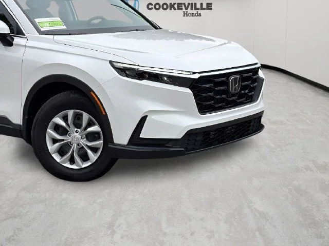 Used 2026 Platinum White Pearl Honda LX image 3