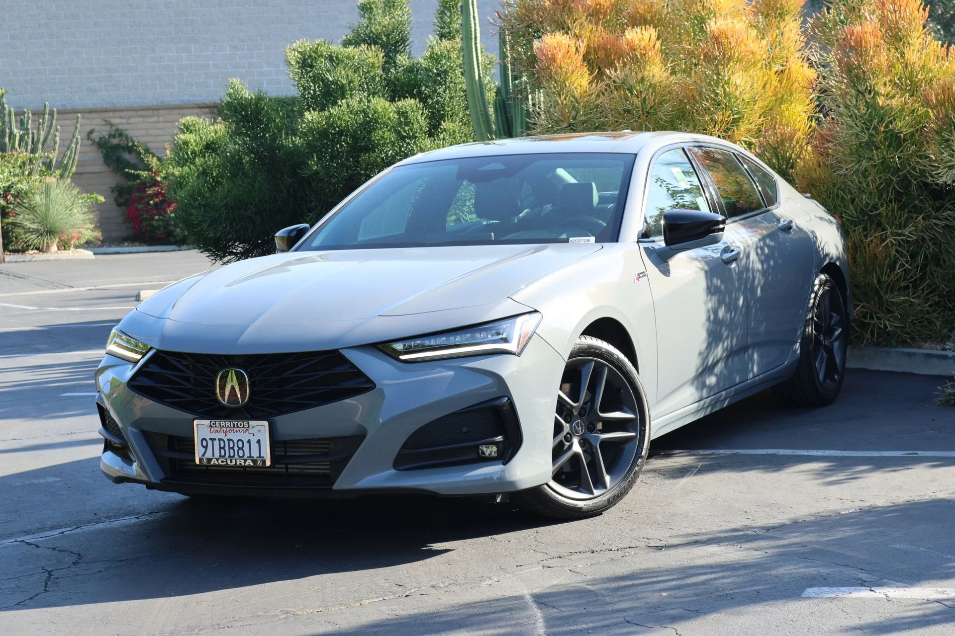 2025 Acura TLX 2.0 Auto SH-AWD A-SPEC Package's photo