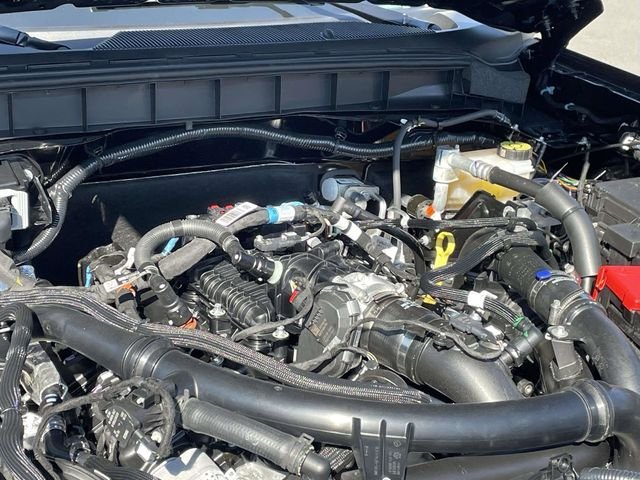 New 2025 Black Ford TCcustoms image 22