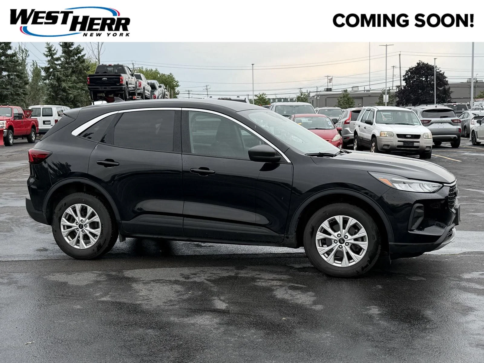Used 2023 Agate Black Ford Active image 1