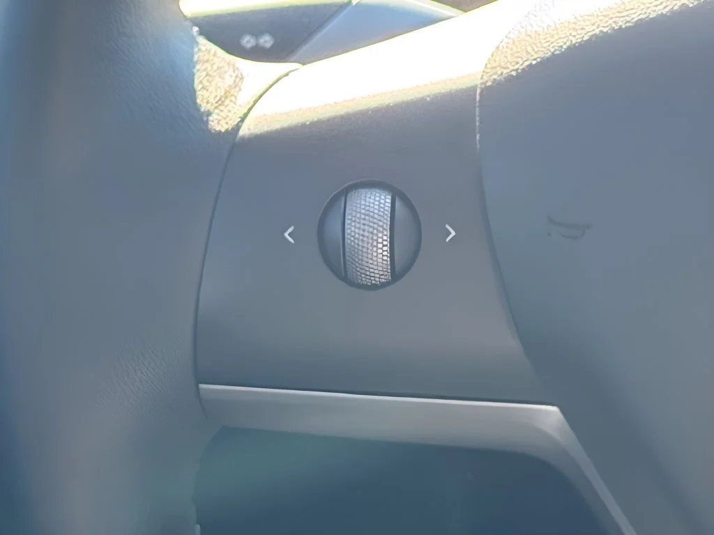 Used 2021 Black Tesla Performance image 16
