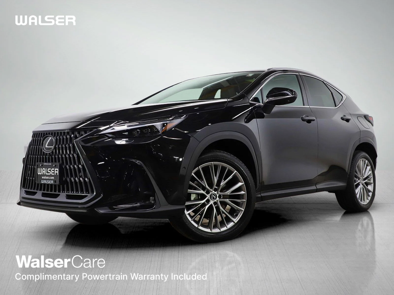 2024 Lexus NX 350h 350h Luxury AWD's photo