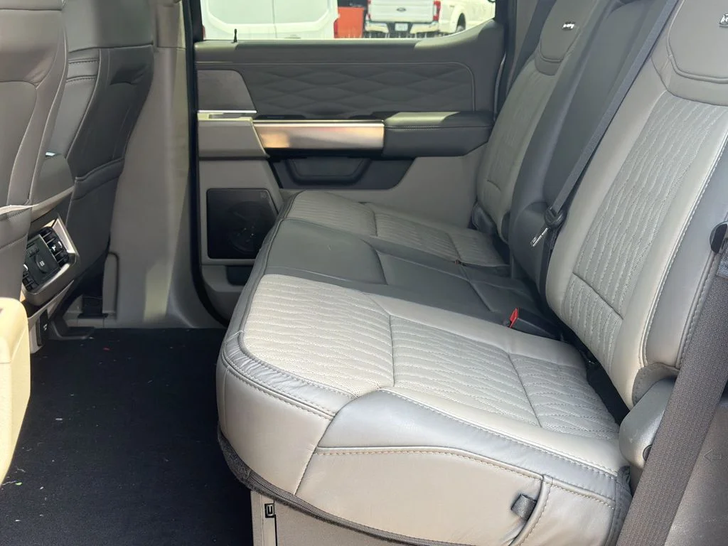 New 2026 Gray Ford Platinum image 15