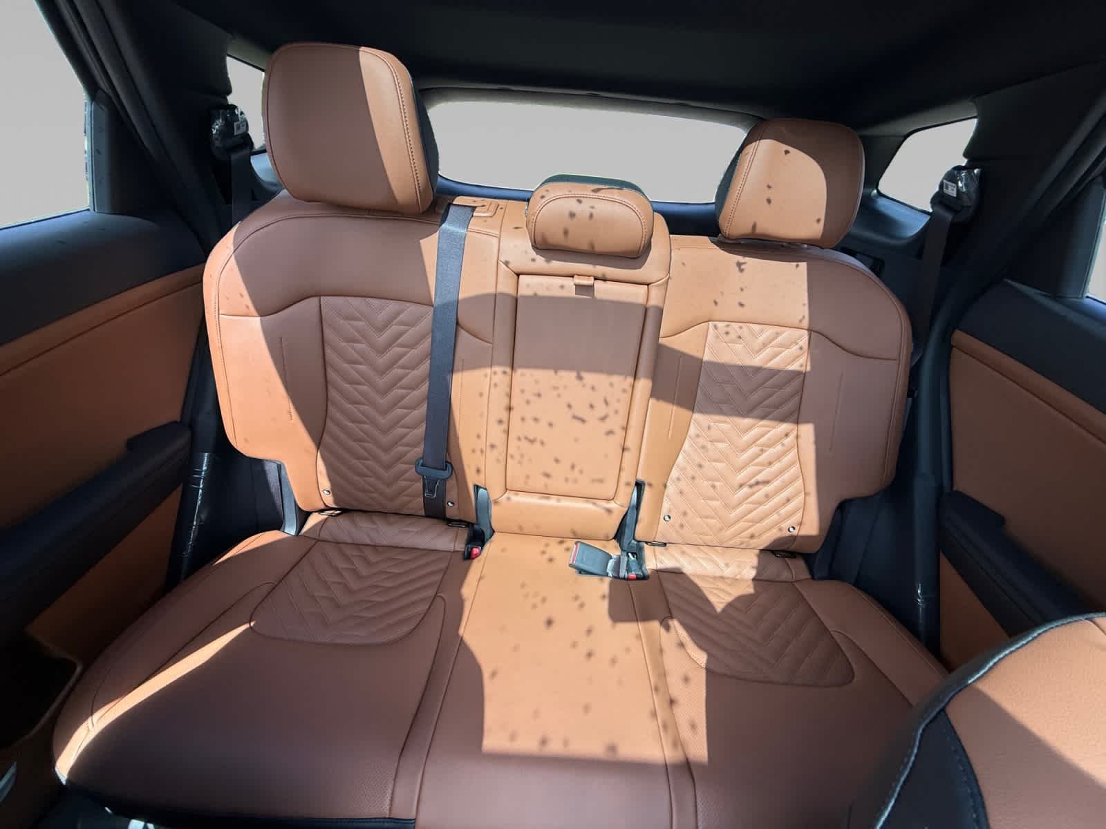 New 2026 Shadow Matte Gray Kia X-Line image 22
