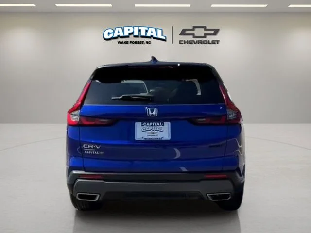Used 2024 Blue Honda Sport image 6