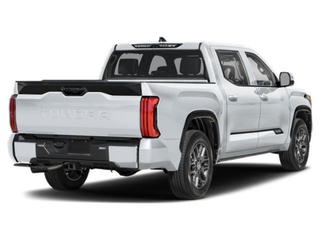 New 2025 Ice Cap Toyota Platinum image 11