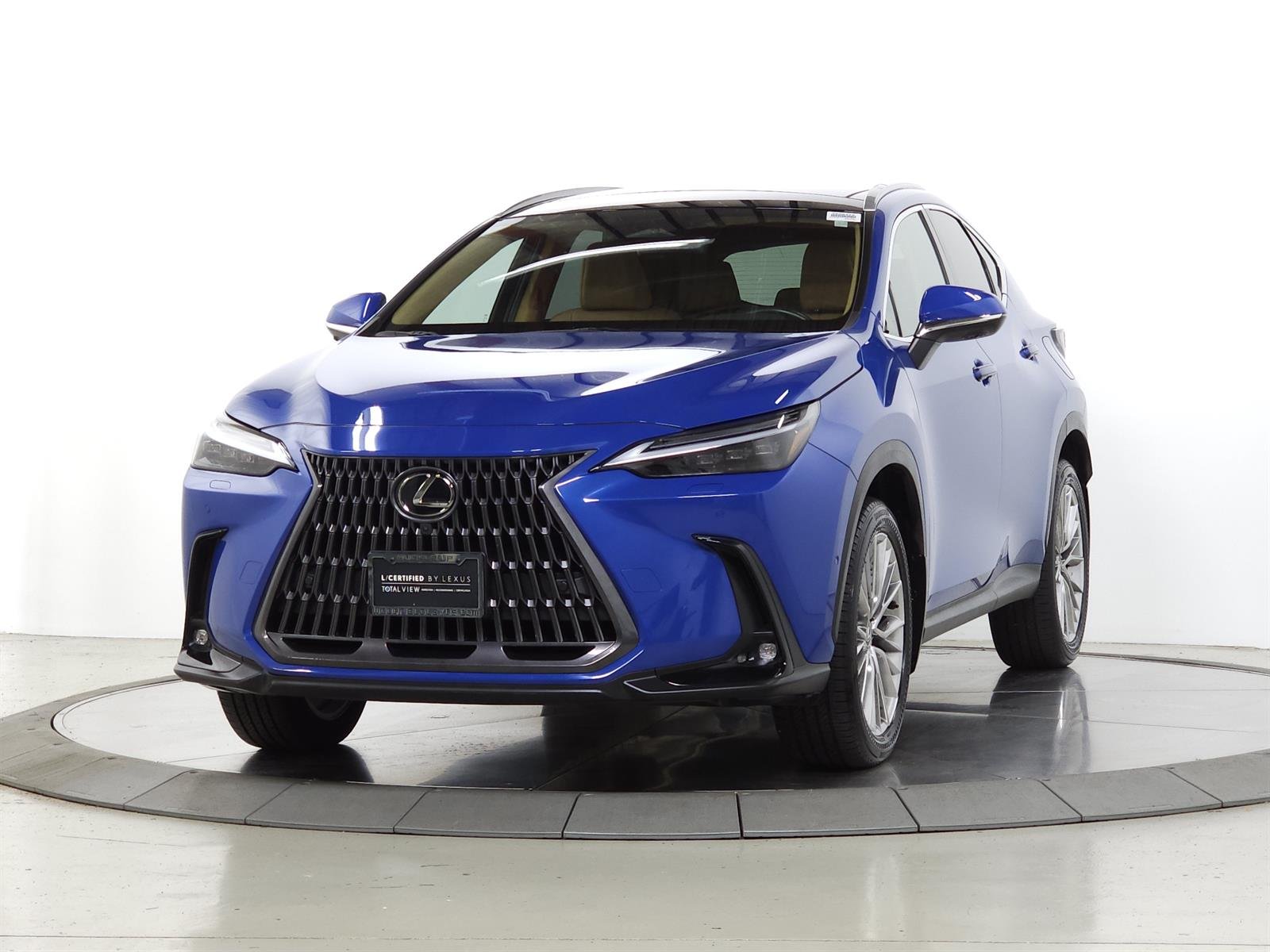 Certified Used 2025 Grecian Water 8y6 Lexus Luxury image 4