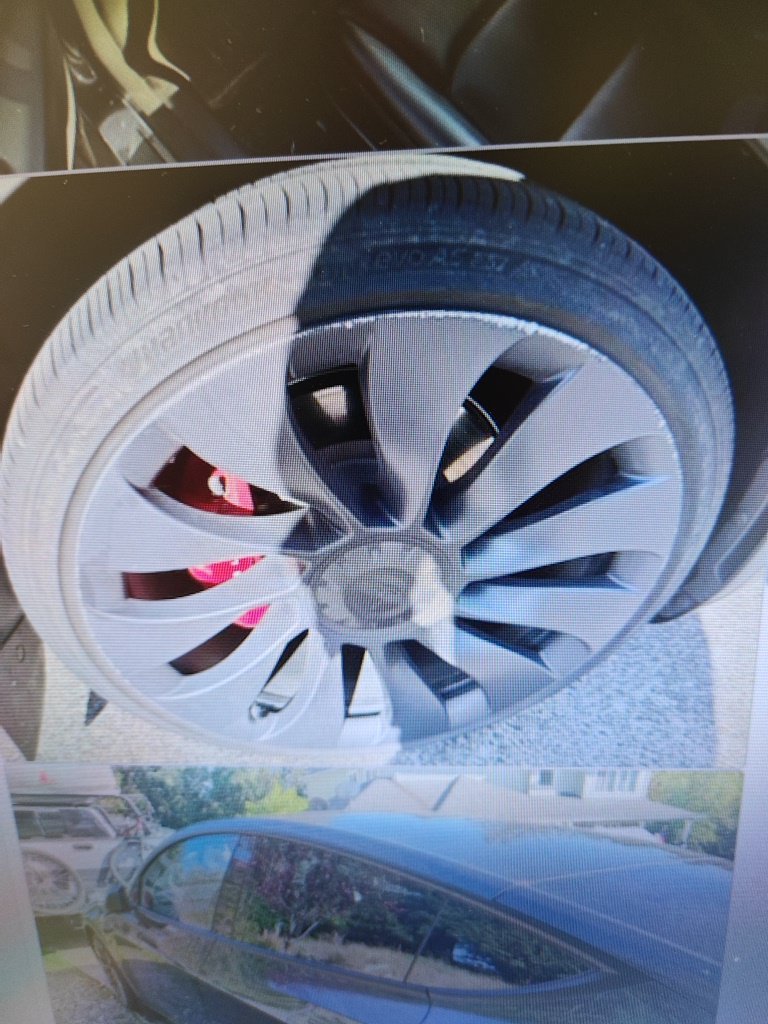 Used 2024 Black Tesla Performance image 10