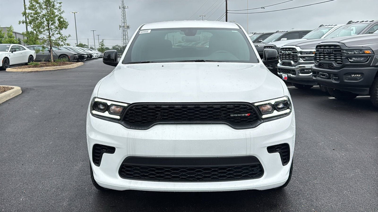 New 2026 White Knuckle Clear-Coat Exterior Paint Dodge GT image 2