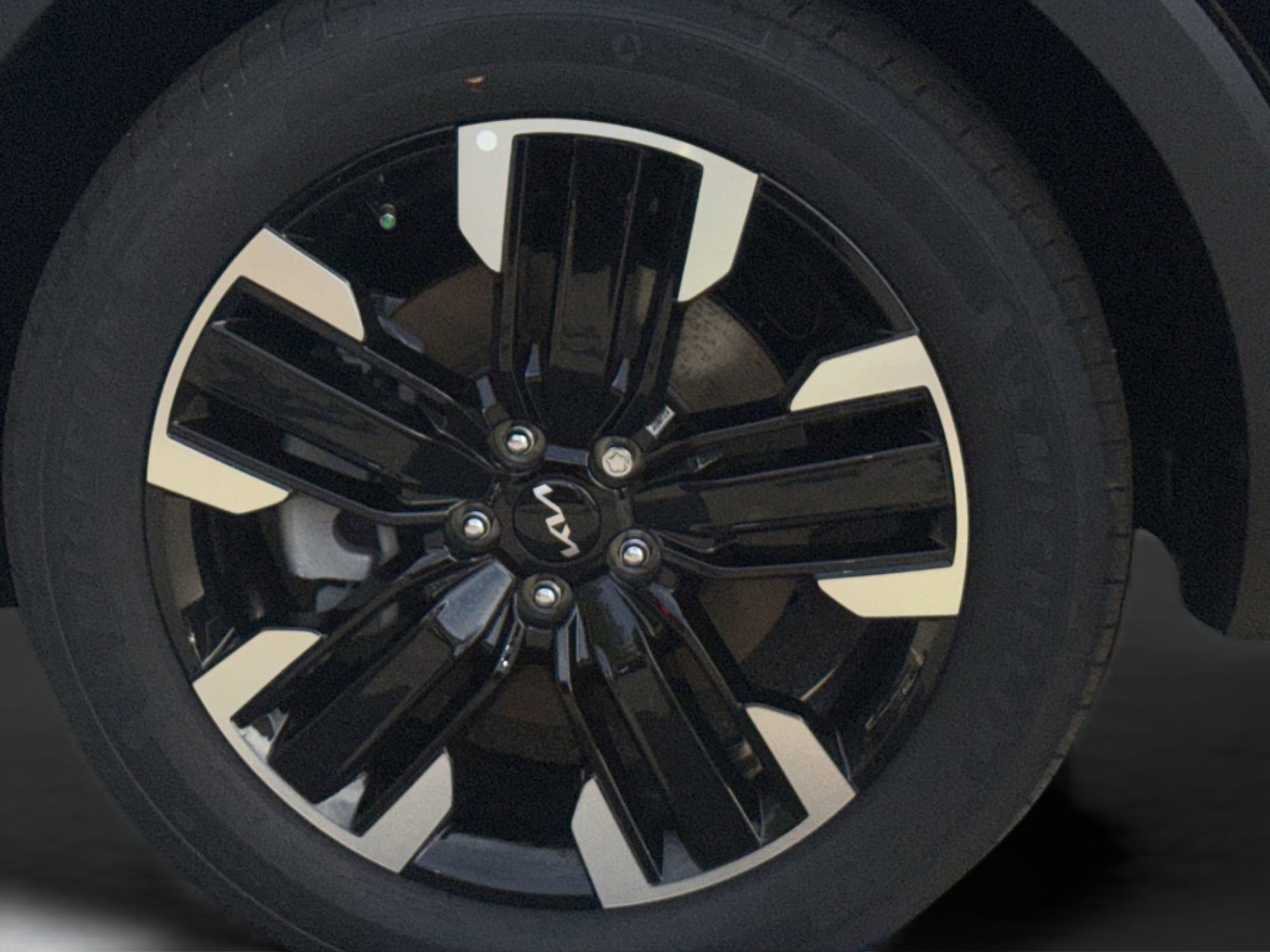 2025 Kia Telluride SX - Photo 8