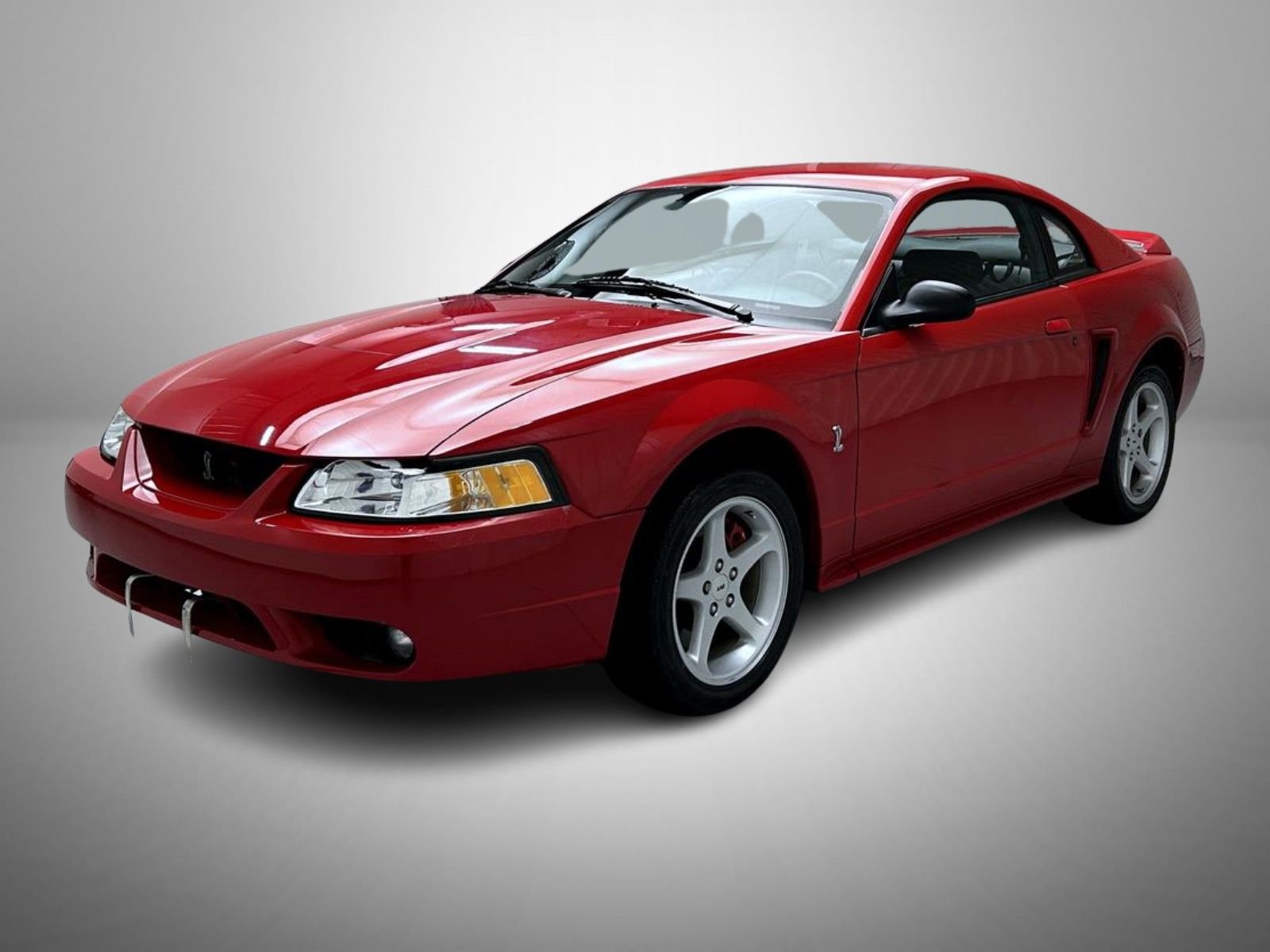 1999 Ford Mustang COBRA SVT's photo