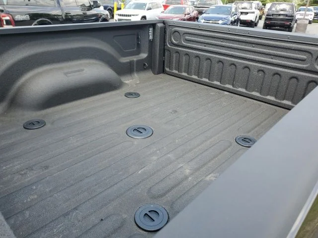 New 2026 Granite Crystal Metallic Clear-Coat Exterior Paint RAM Tradesman image 10