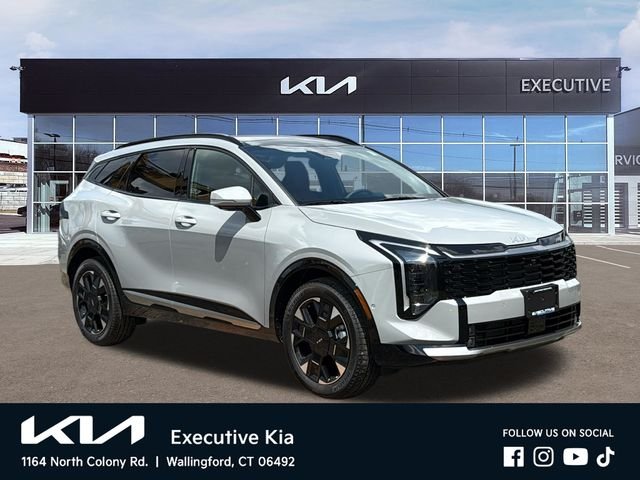 New 2026 Wolf Gray Kia SX Prestige image 2