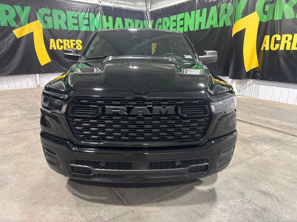 New 2026 Diamond Black Crystal Pearl-Coat Exterior Paint RAM Express image 13
