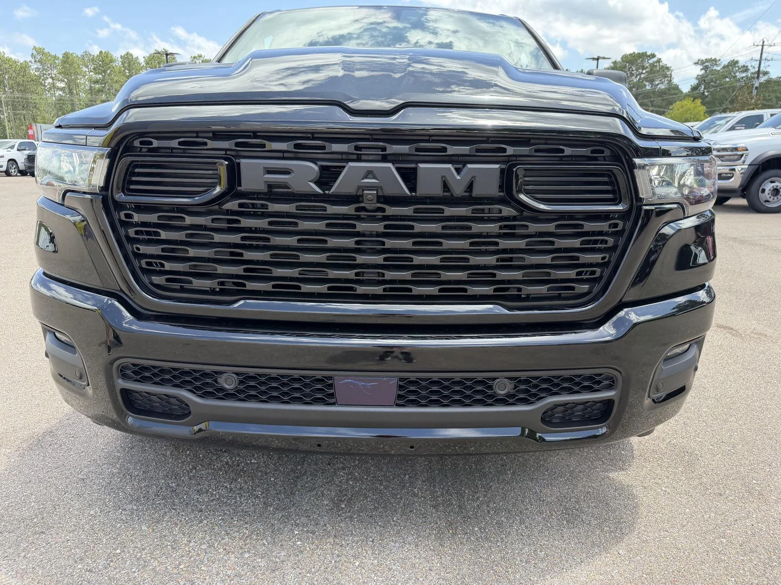 New 2026 Diamond Black Crystal Pearl-Coat Exterior Paint RAM Express image 25
