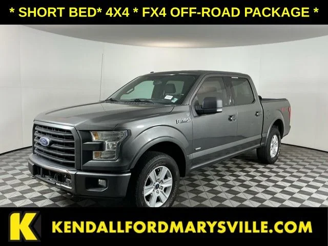 Used 2016 Gray Ford  image 1