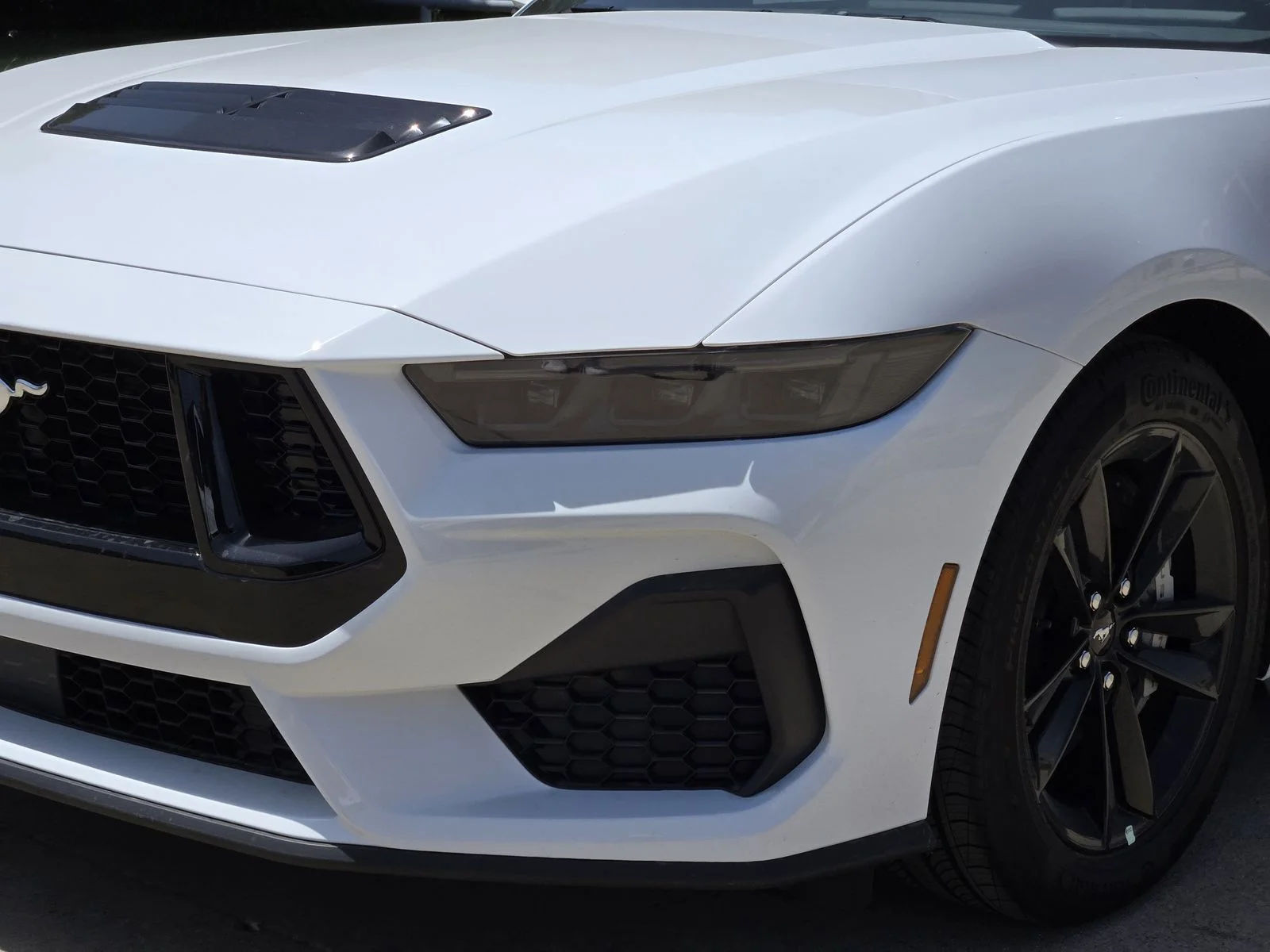 New 2026 Oxford White Ford GT Fastback image 5