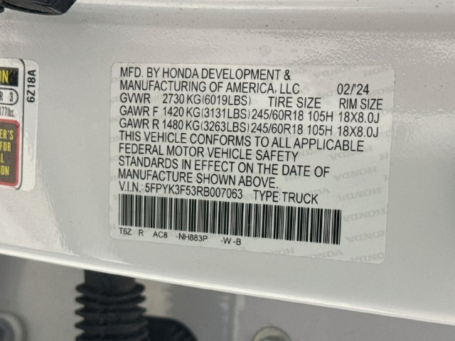 Photo 31