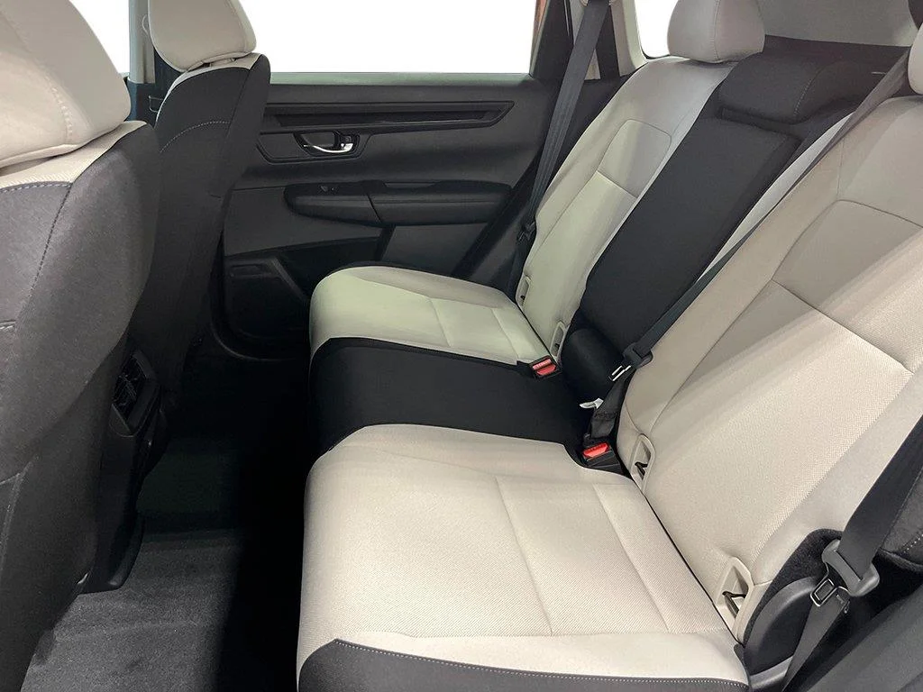 New 2026 Platinum White Pearl Honda LX image 19