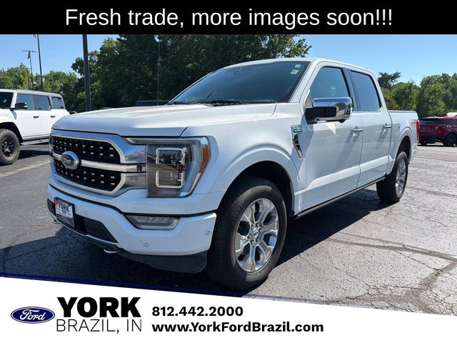 2023 Ford F-150 Platinum