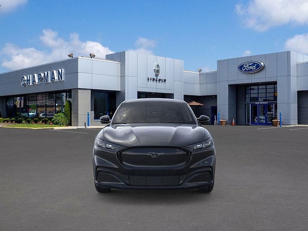 New 2026 Shadow Black Ford Premium image 6