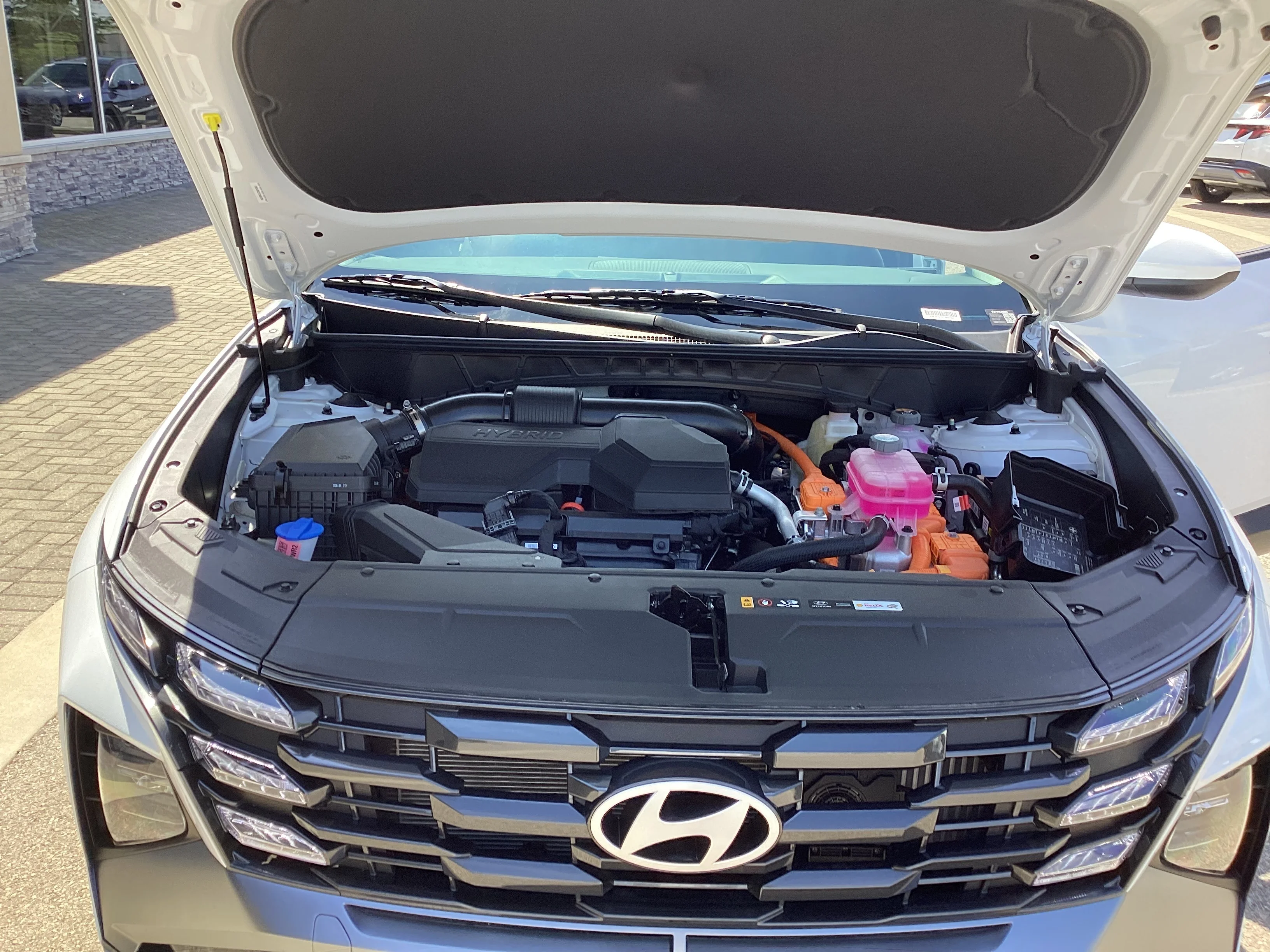 New 2026 Creamy White Pearl Hyundai Blue SE image 15